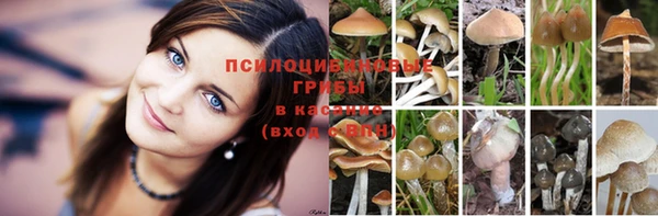 альфа пвп VHQ Алзамай