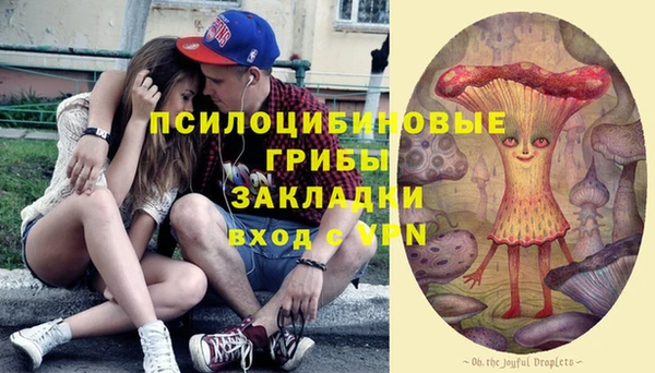 эйфоретик Алексин