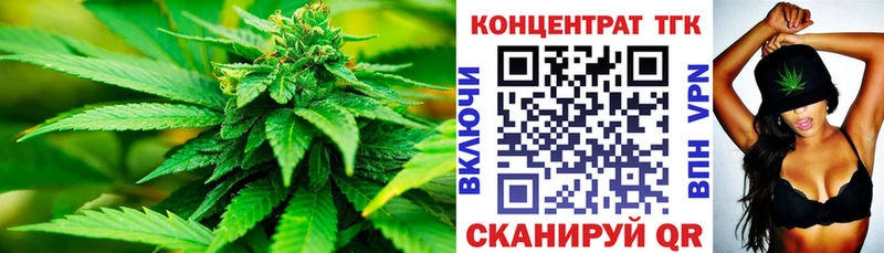 ТГК концентрат Талица